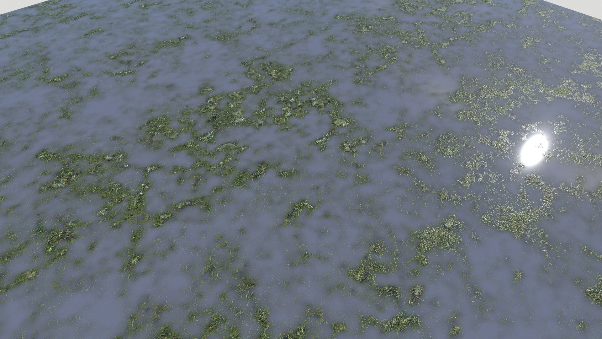 Water with algae PBR Texture_36
