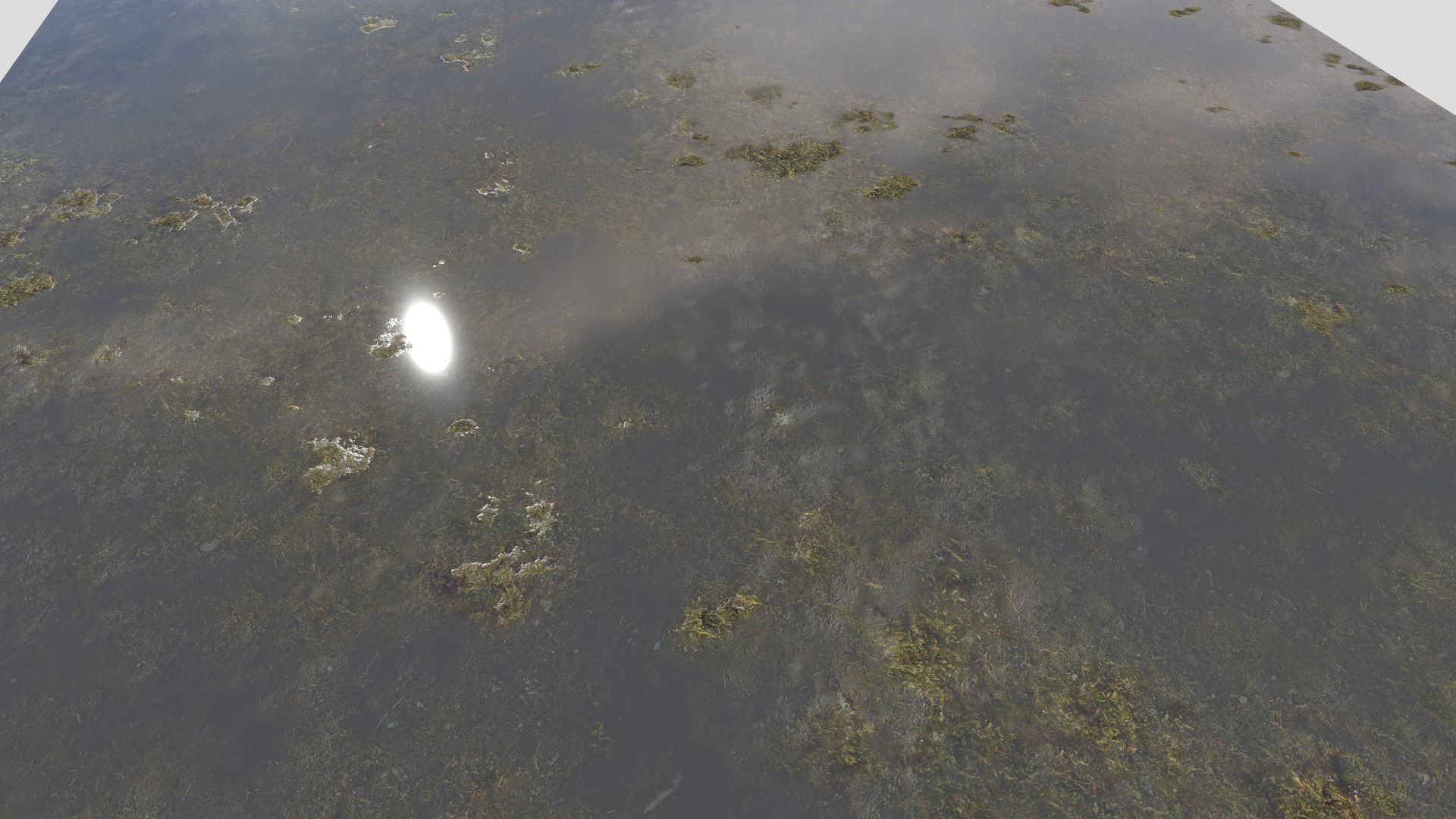 Water with algae PBR Texture_31