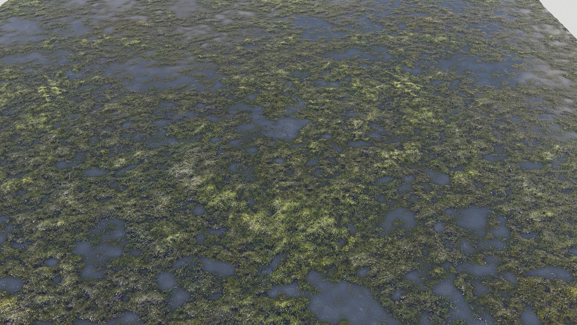 Water with algae PBR Texture_24