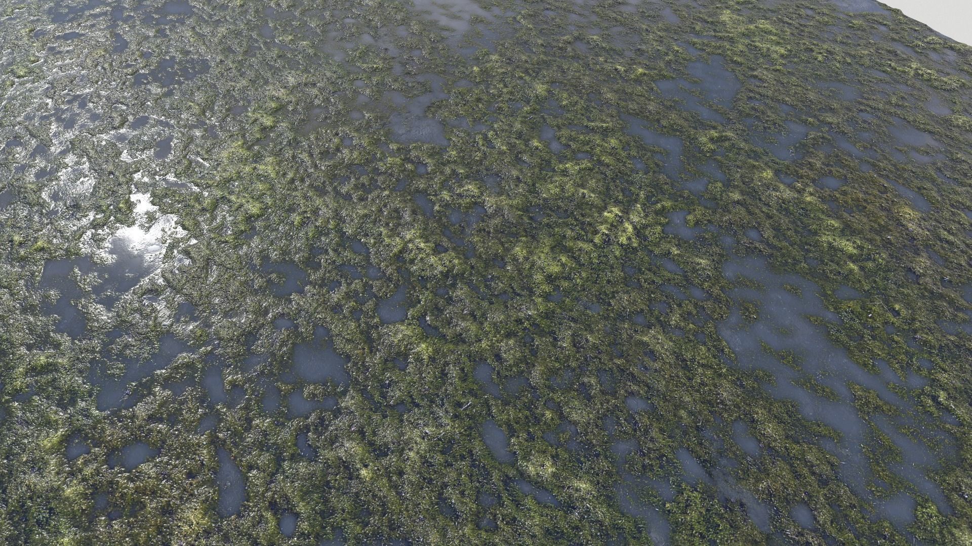 Water with algae PBR Texture_13
