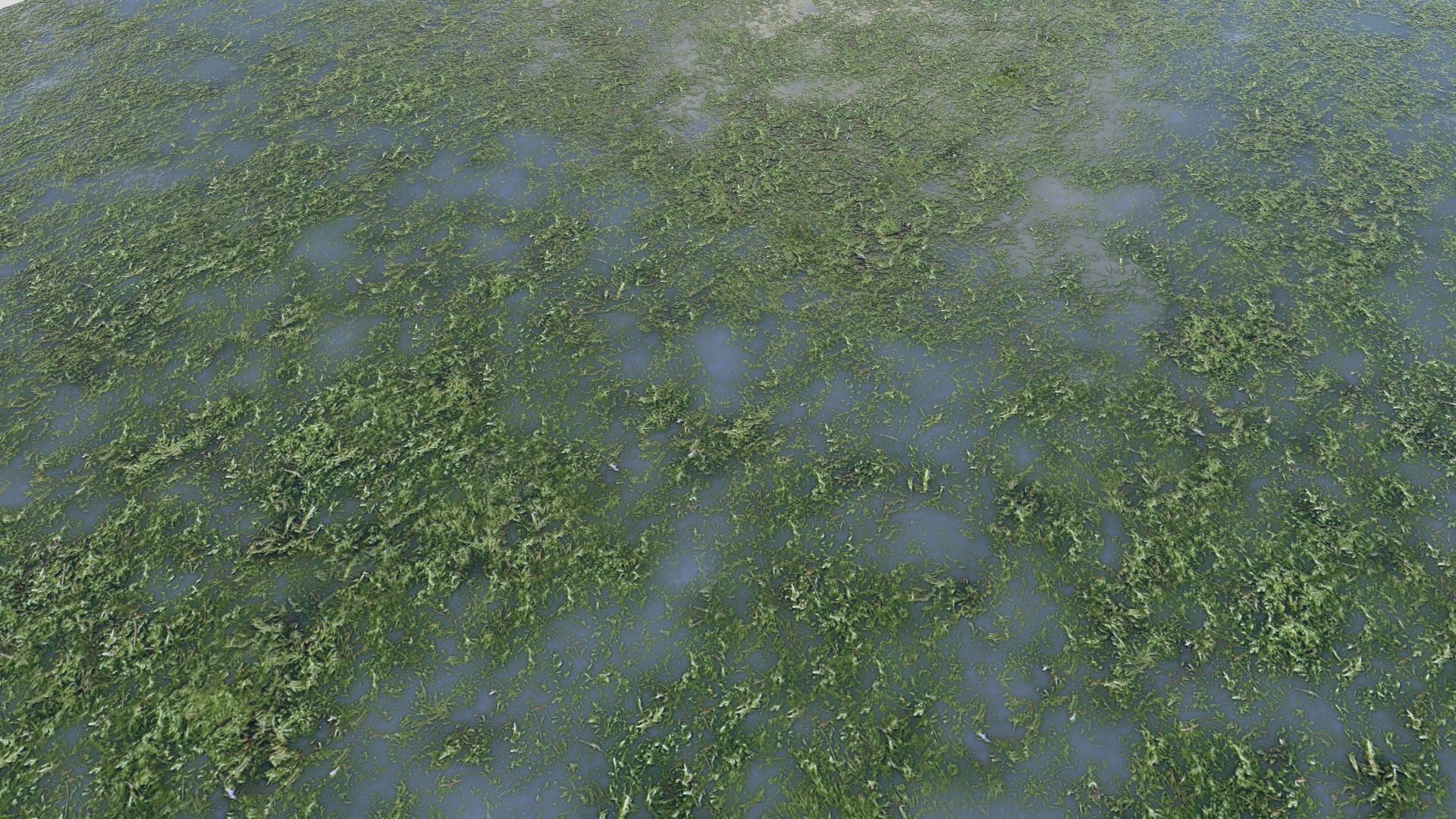 Water with algae PBR Texture_27