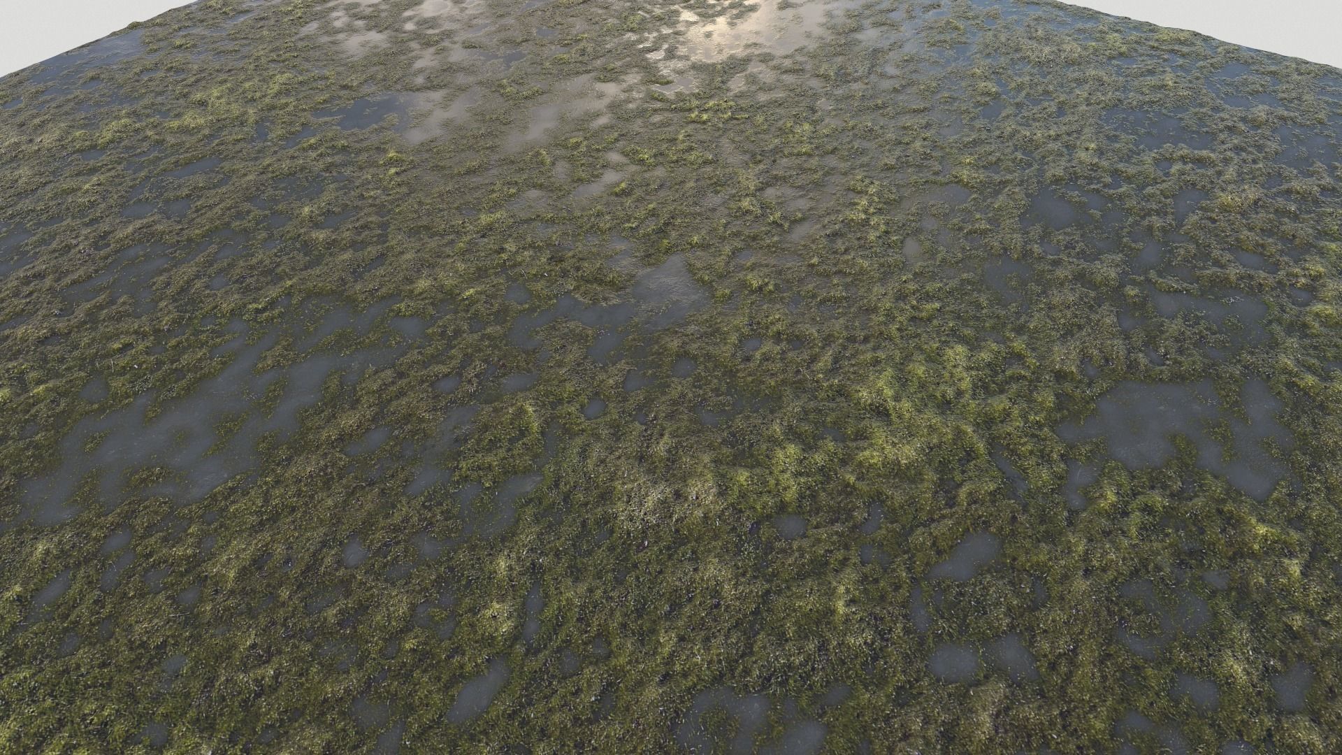Water with algae PBR Texture_12