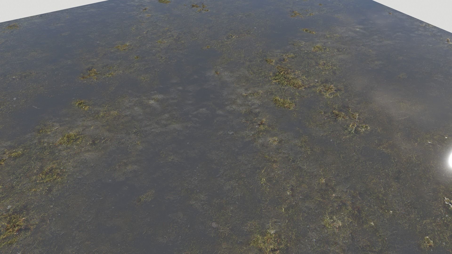 Water with algae PBR Texture_30