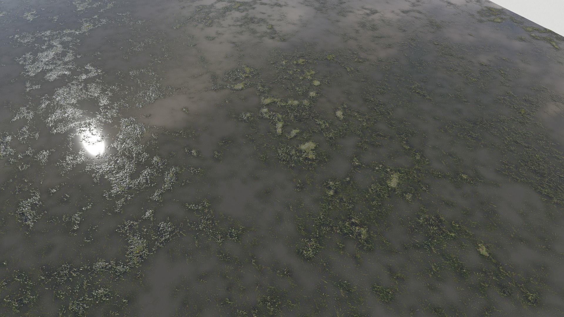 Water with algae PBR Texture_37