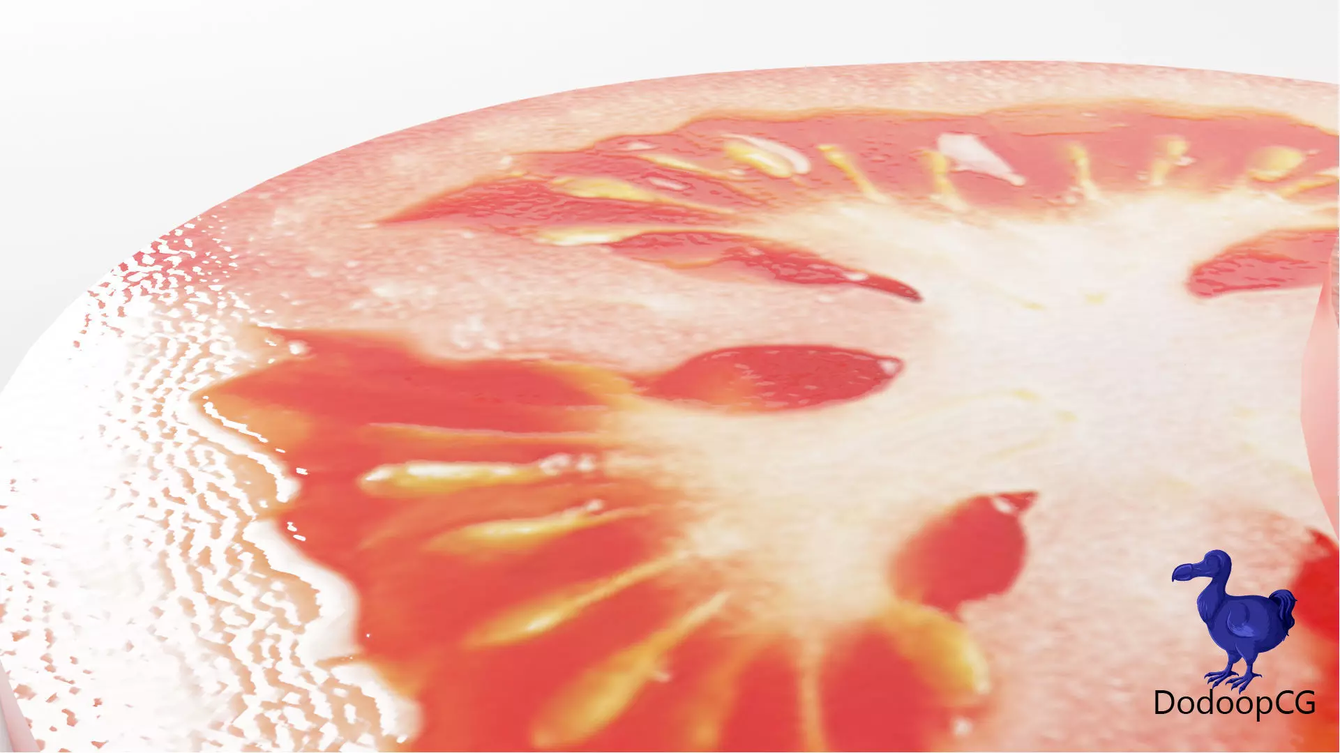 Tomato Slice - PBR Photorealistic 3D Model Low-poly 3D model_3