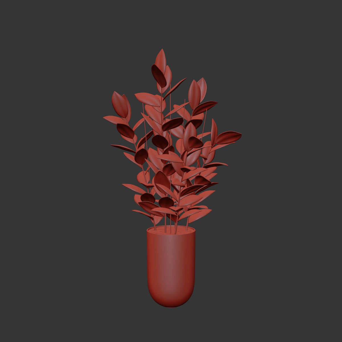 Rubber Plant 3D model_3