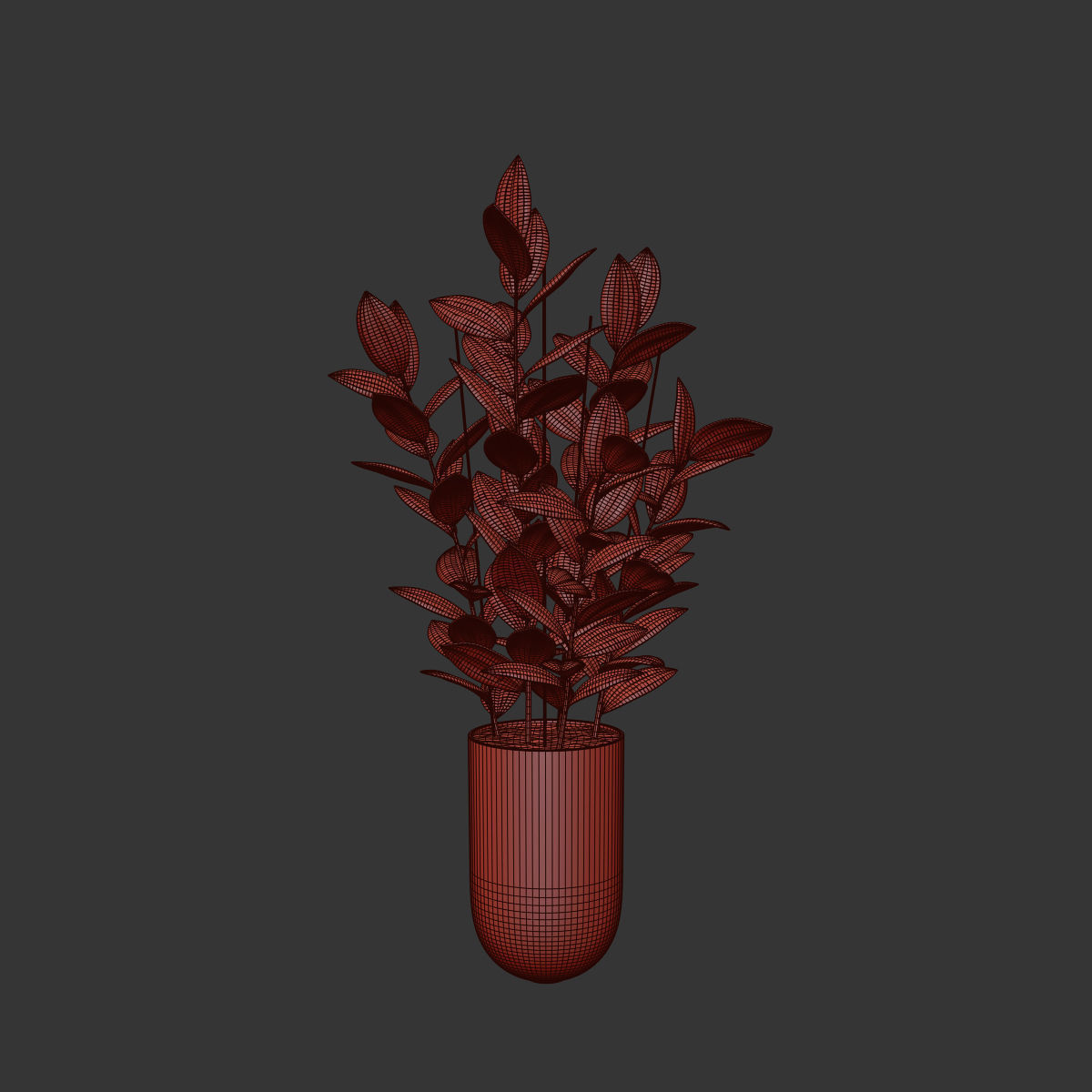 Rubber Plant 3D model_4