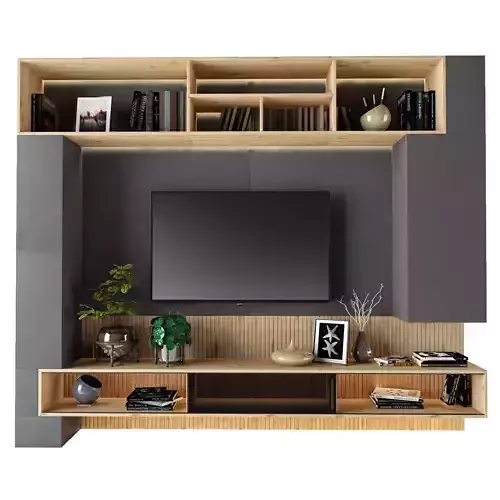 Tv Shelf 01 3D model