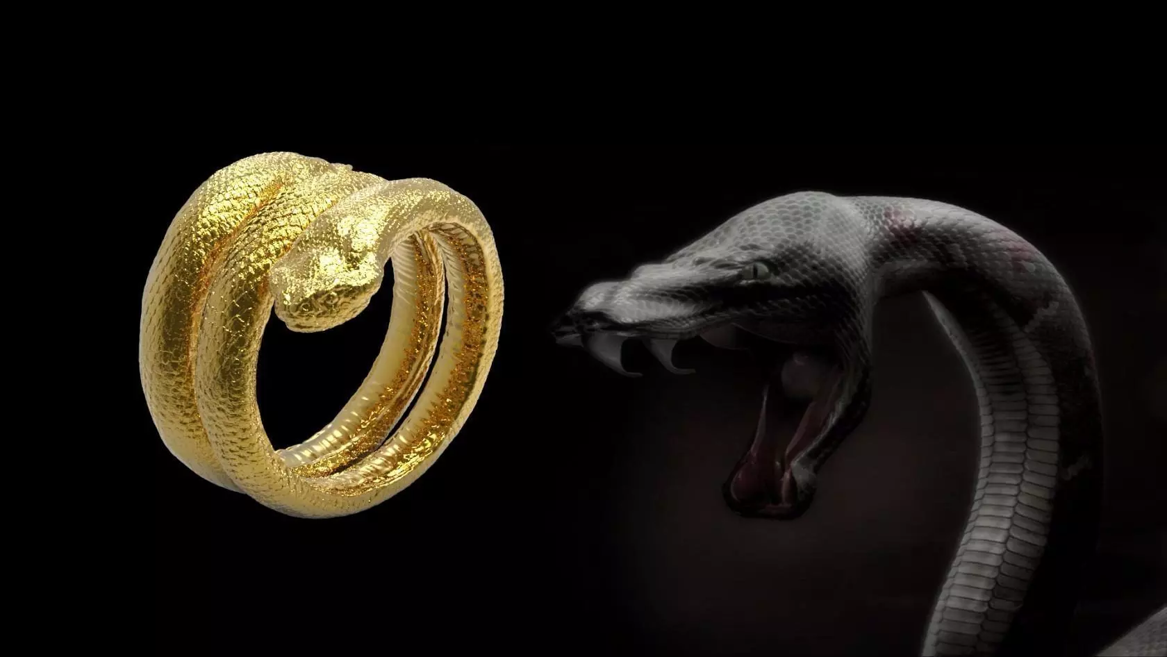 Snake Ring Free 3D print model_0