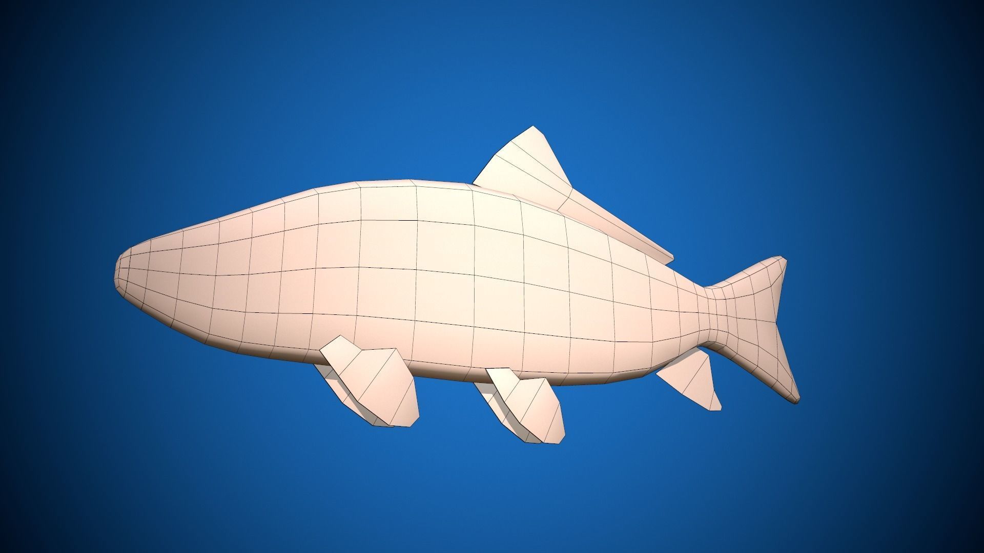 Oceon Fish  Low-poly 3D model_8