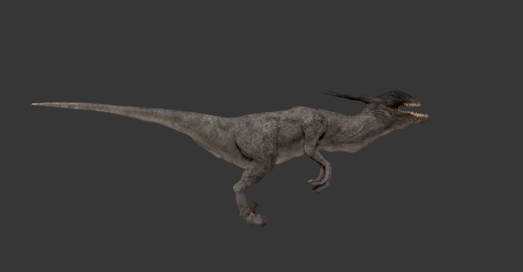 RAPTOR DINO Free 3D model_4