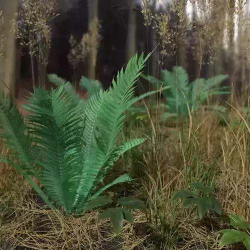 Fern Meadow Patch 3D model