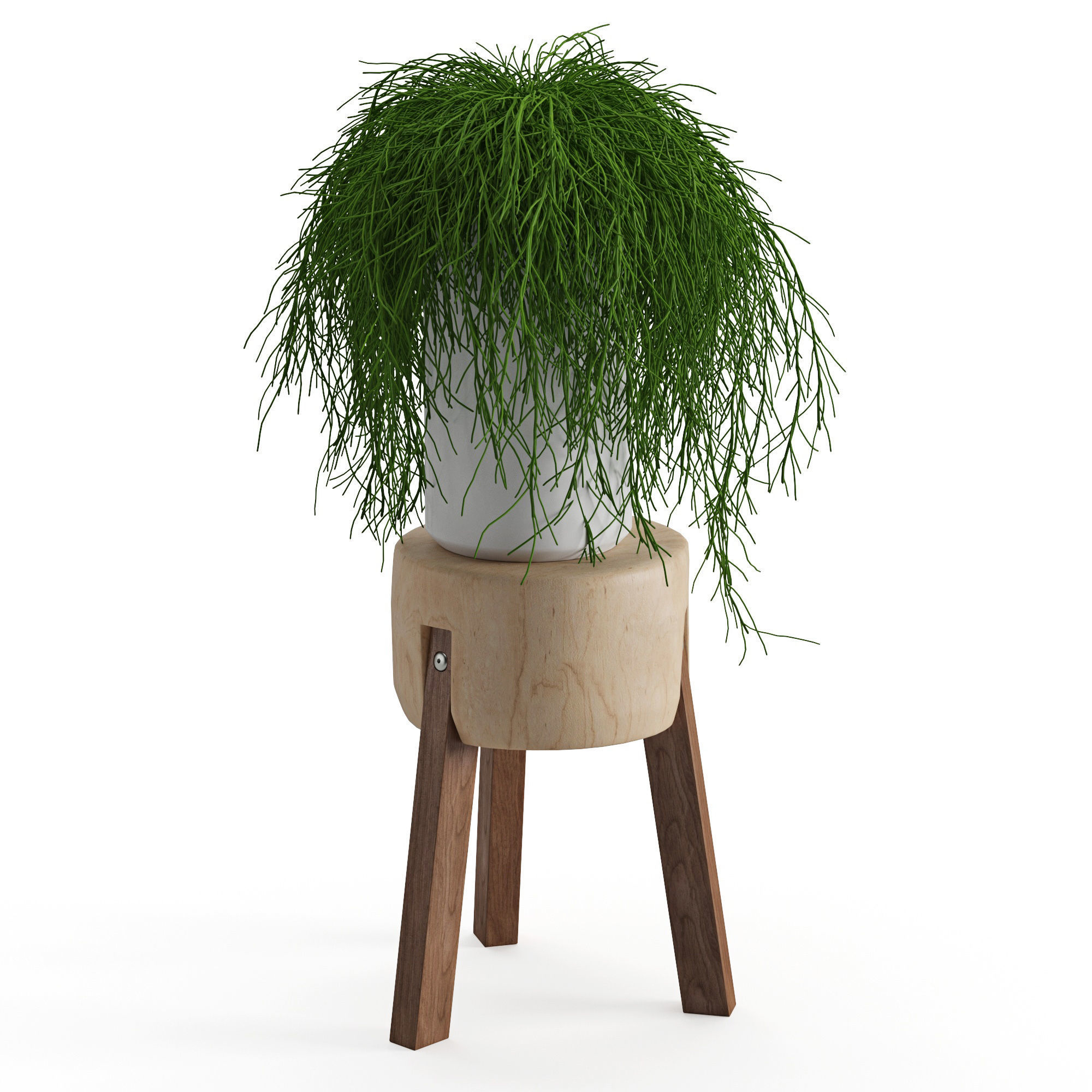 Houseplant 45 3D model_3