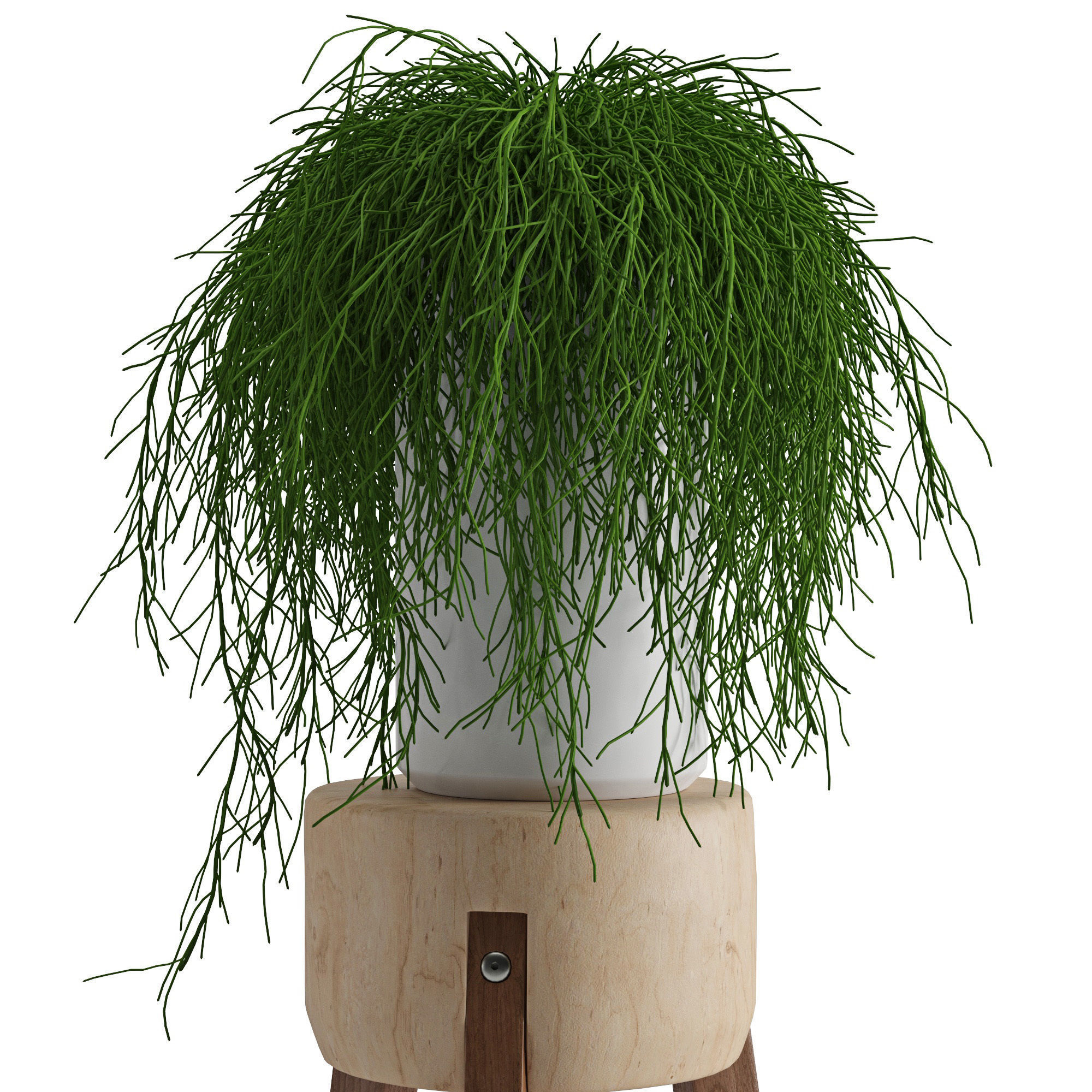 Houseplant 45 3D model_4