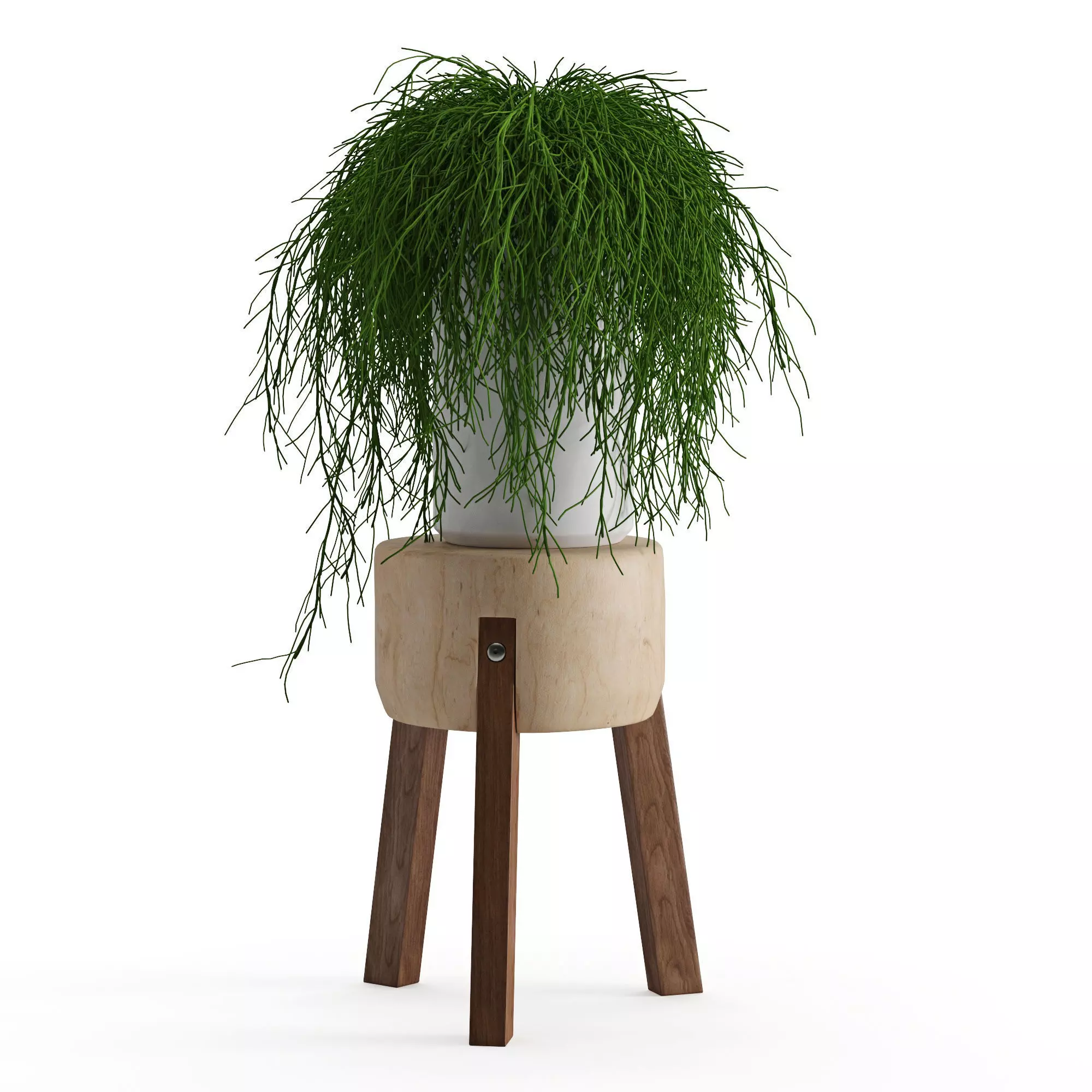Houseplant 45 3D model_0
