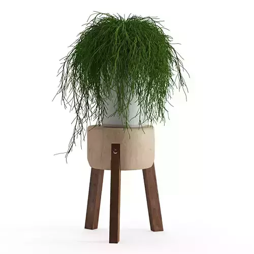 Houseplant 45 3D model