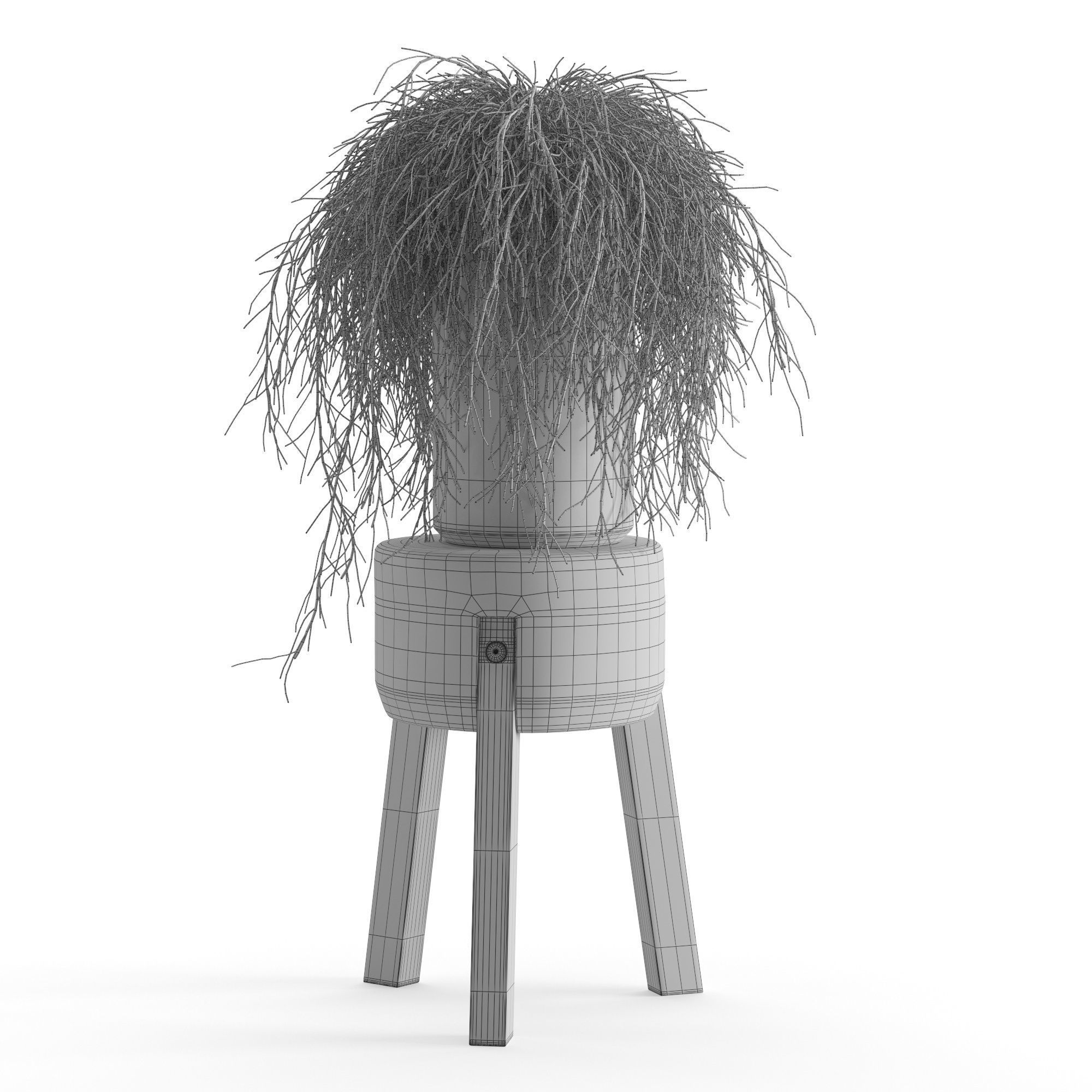 Houseplant 45 3D model_1