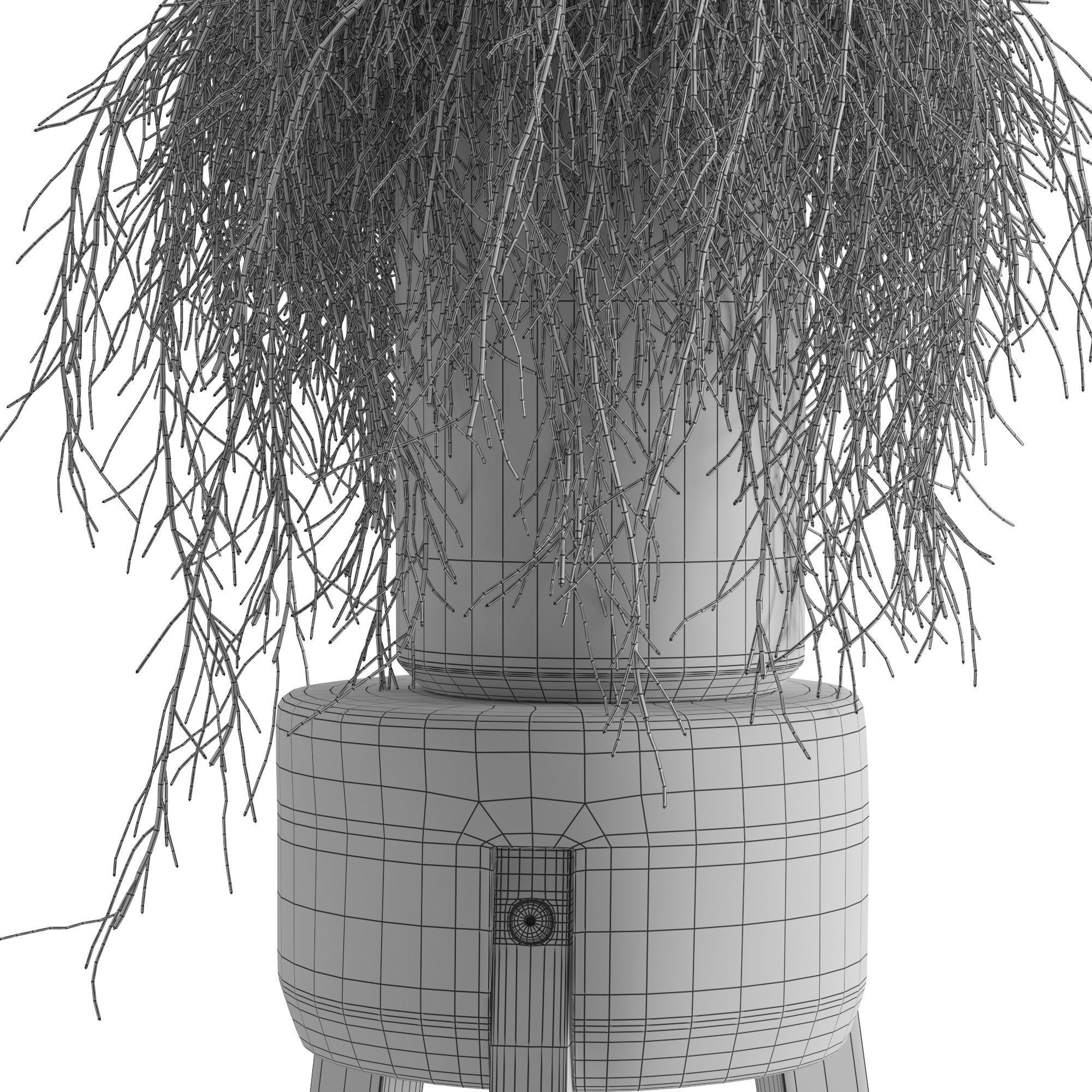Houseplant 45 3D model_2