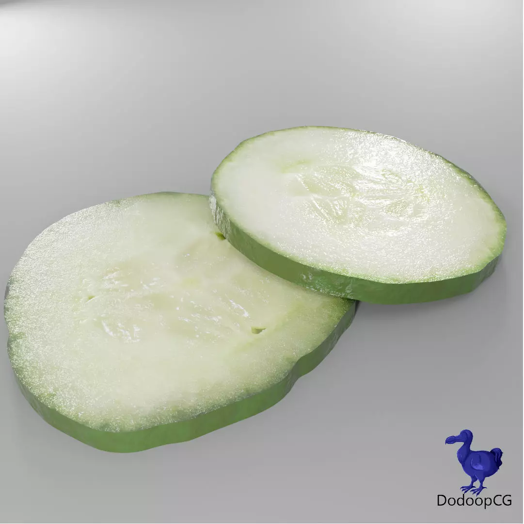 Cucumber Slice - 2 Variations PBR 3D Model Low-poly 3D model_0