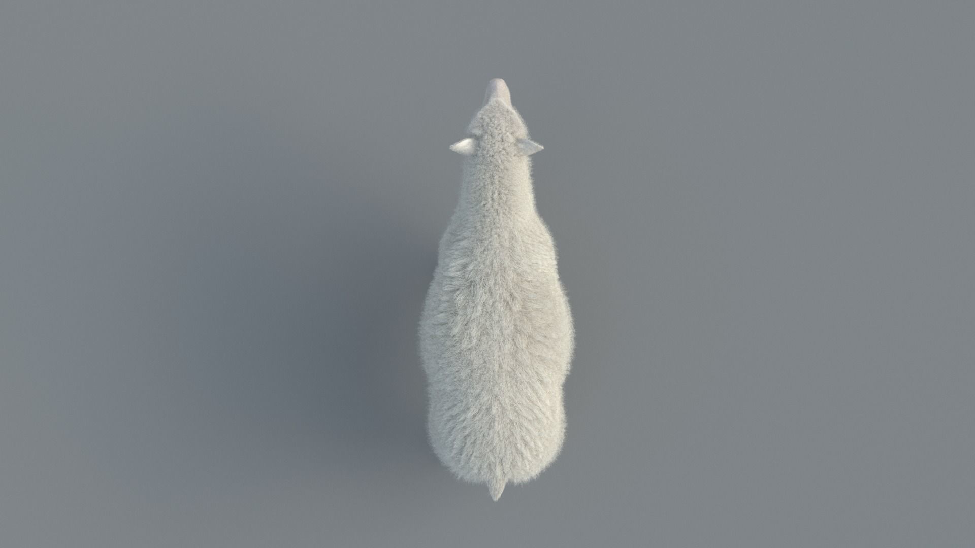 Sheep Animated 3D model_3