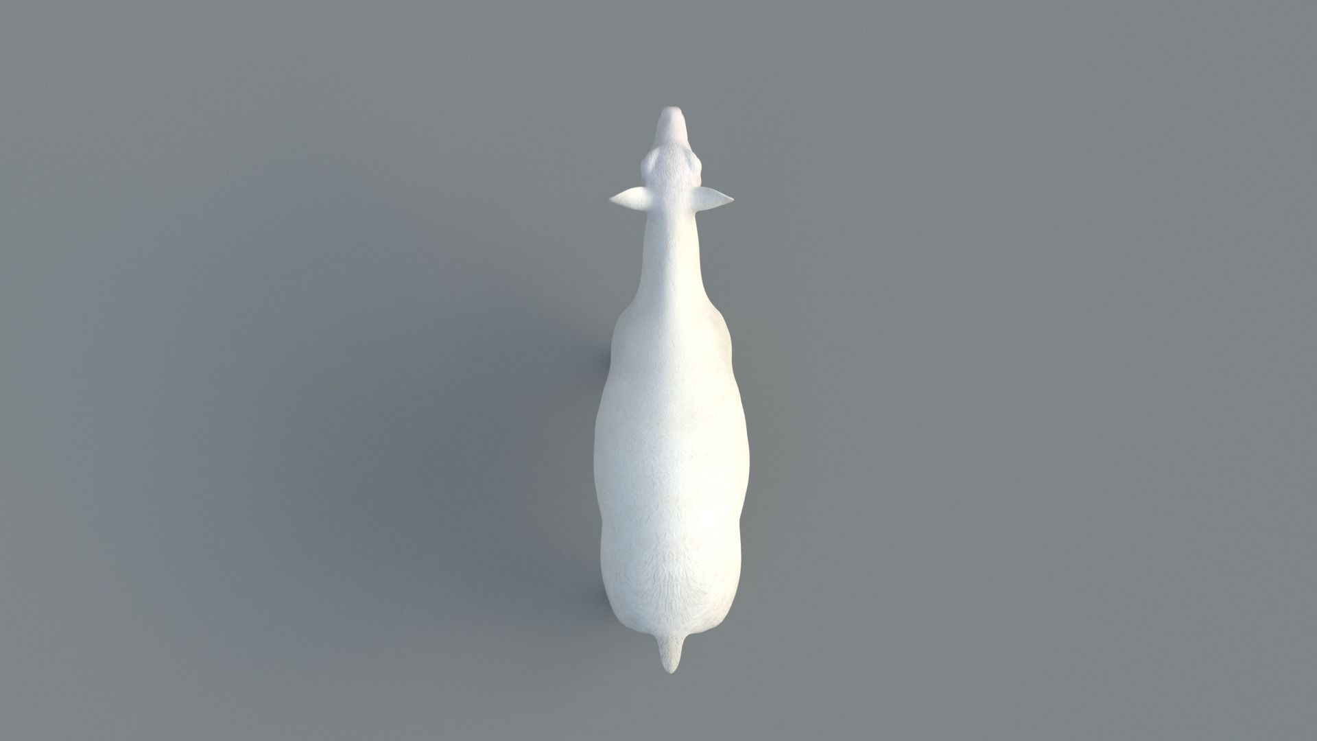 Sheep Animated 3D model_7