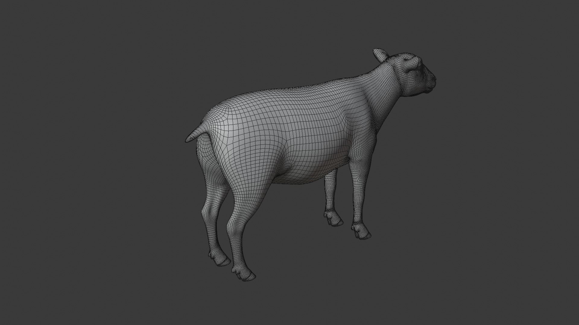 Sheep Animated 3D model_14