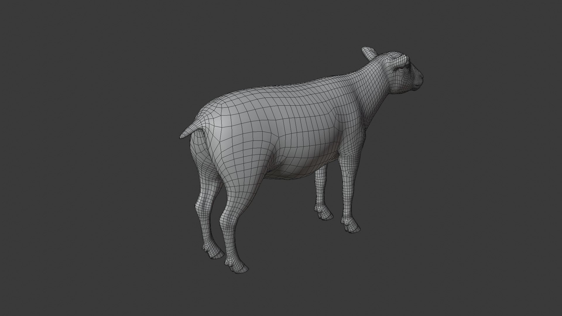Sheep Animated 3D model_12