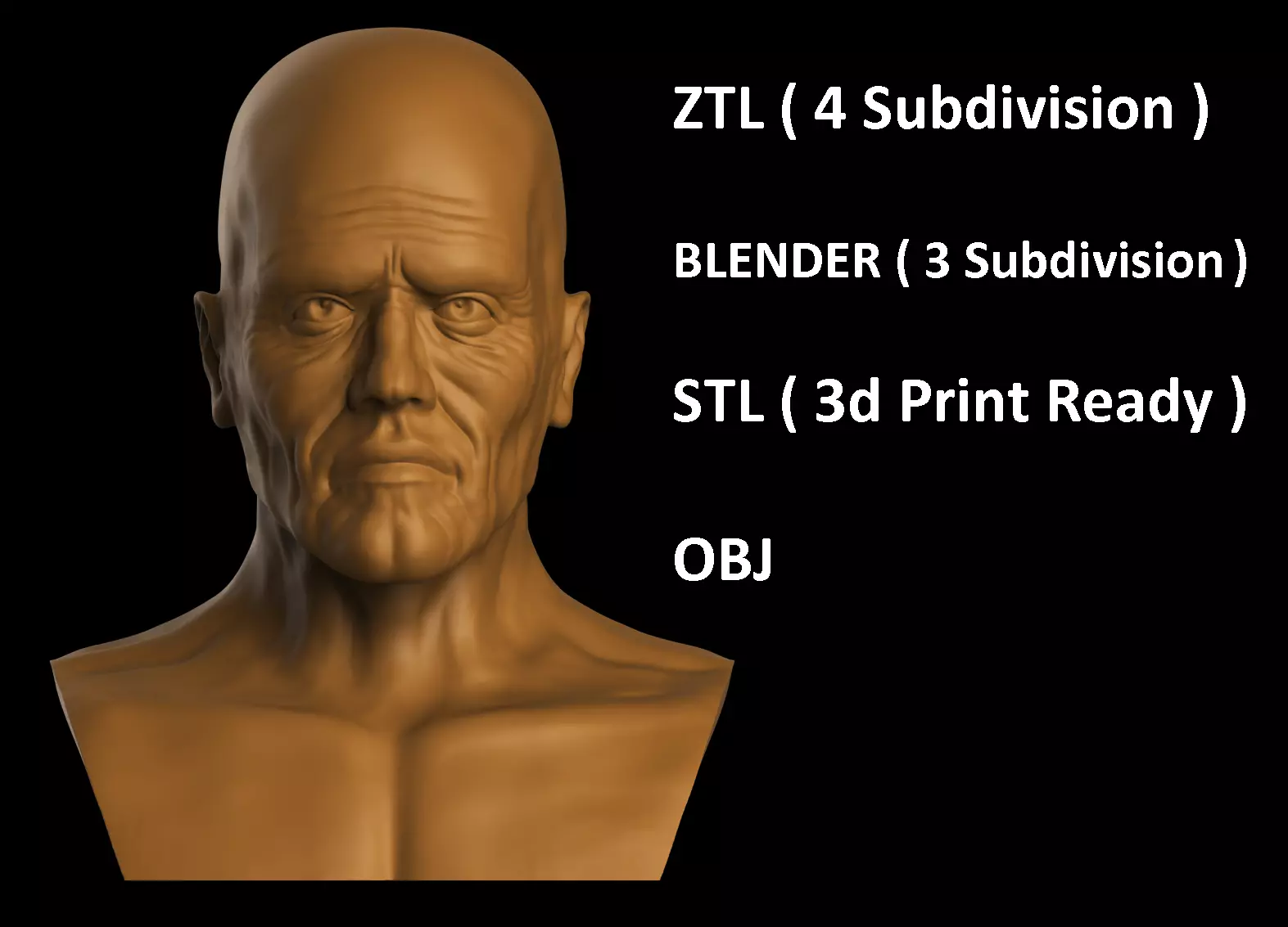 Old Male Head 3D model