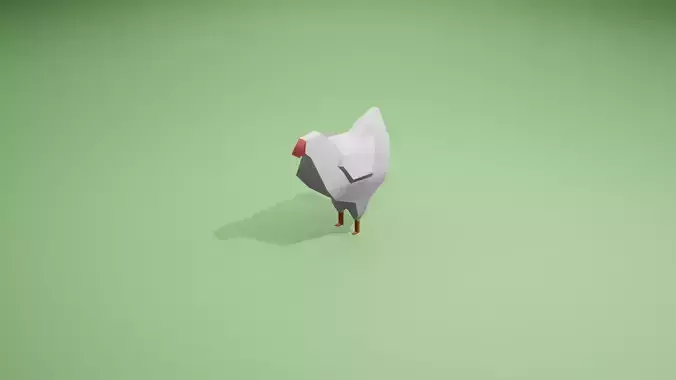 Chicken 3D Model low-poly