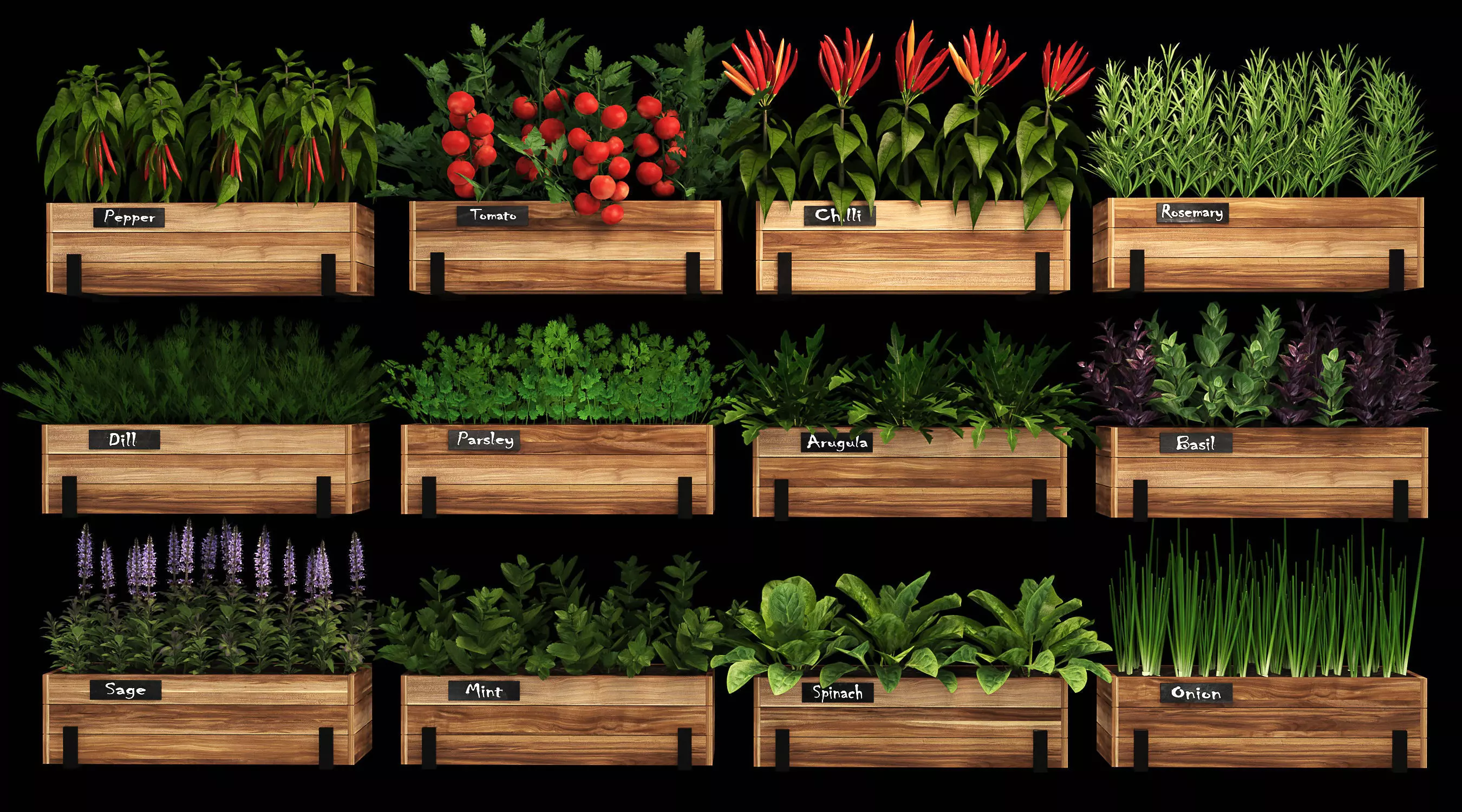 Home plants 3D model