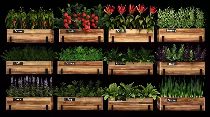 Home plants 3D model