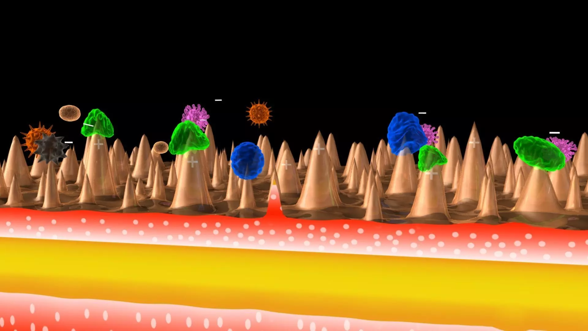 bacterium virus 3D model
