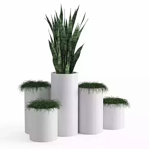 Houseplant 46 3D model