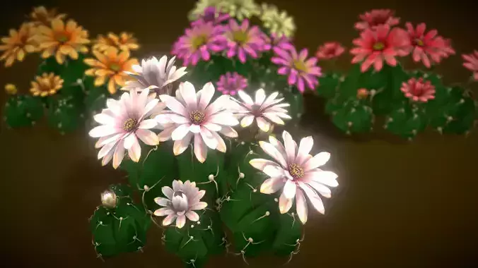 Flower Gymnocalycium Horstii Low-poly 3D model