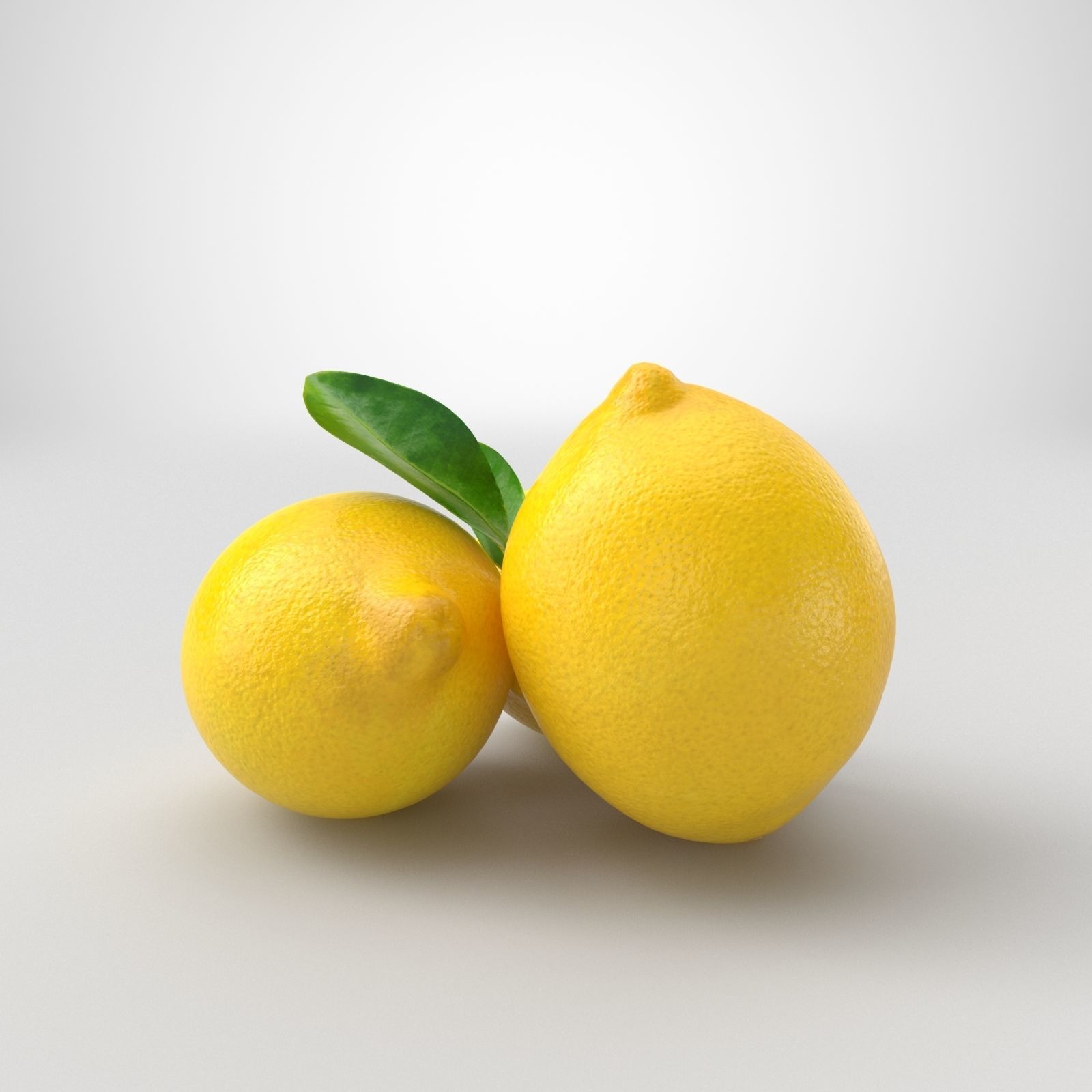 Orange and Lemon 3D model_3
