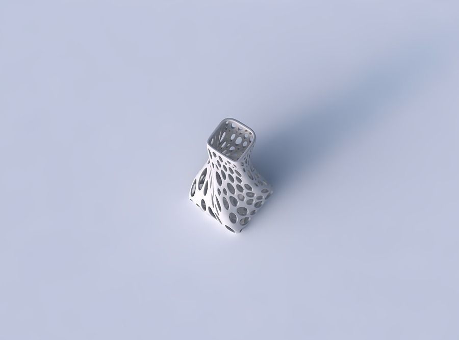 Vase twisted squeezed quadratic with smooth organic lattice 3D print model_2
