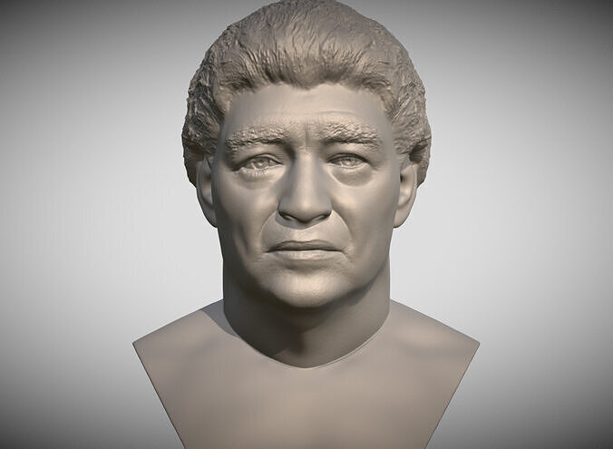 Diego Maradona bust 3D printing ready stl obj formats 3D print model