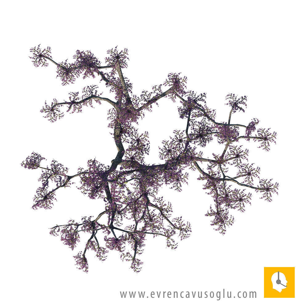 2D High Resolution Trees with PSD Texture_17