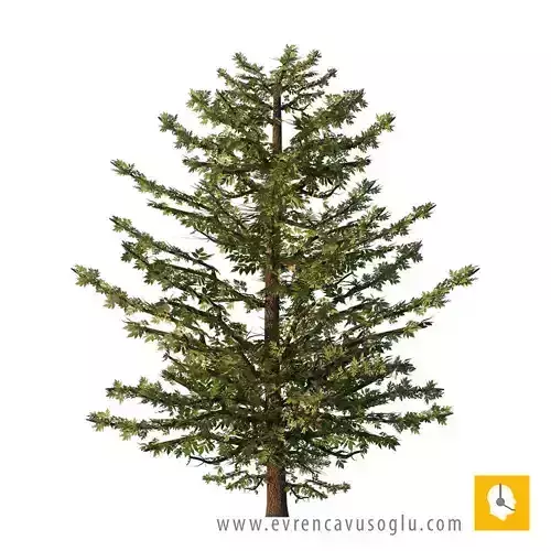 2D High Resolution Trees with PSD Texture