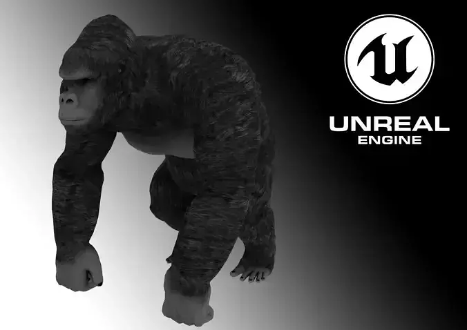Gorilla - King Kong - 3D Model Low-poly 3D model