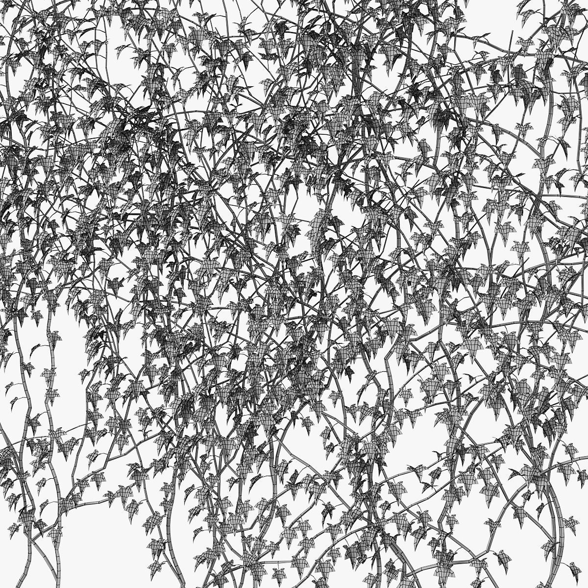 Ivy wall 08 3D model_9
