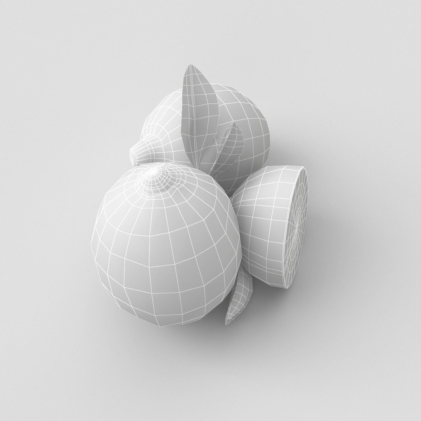 Citrus fruits  3D model_15