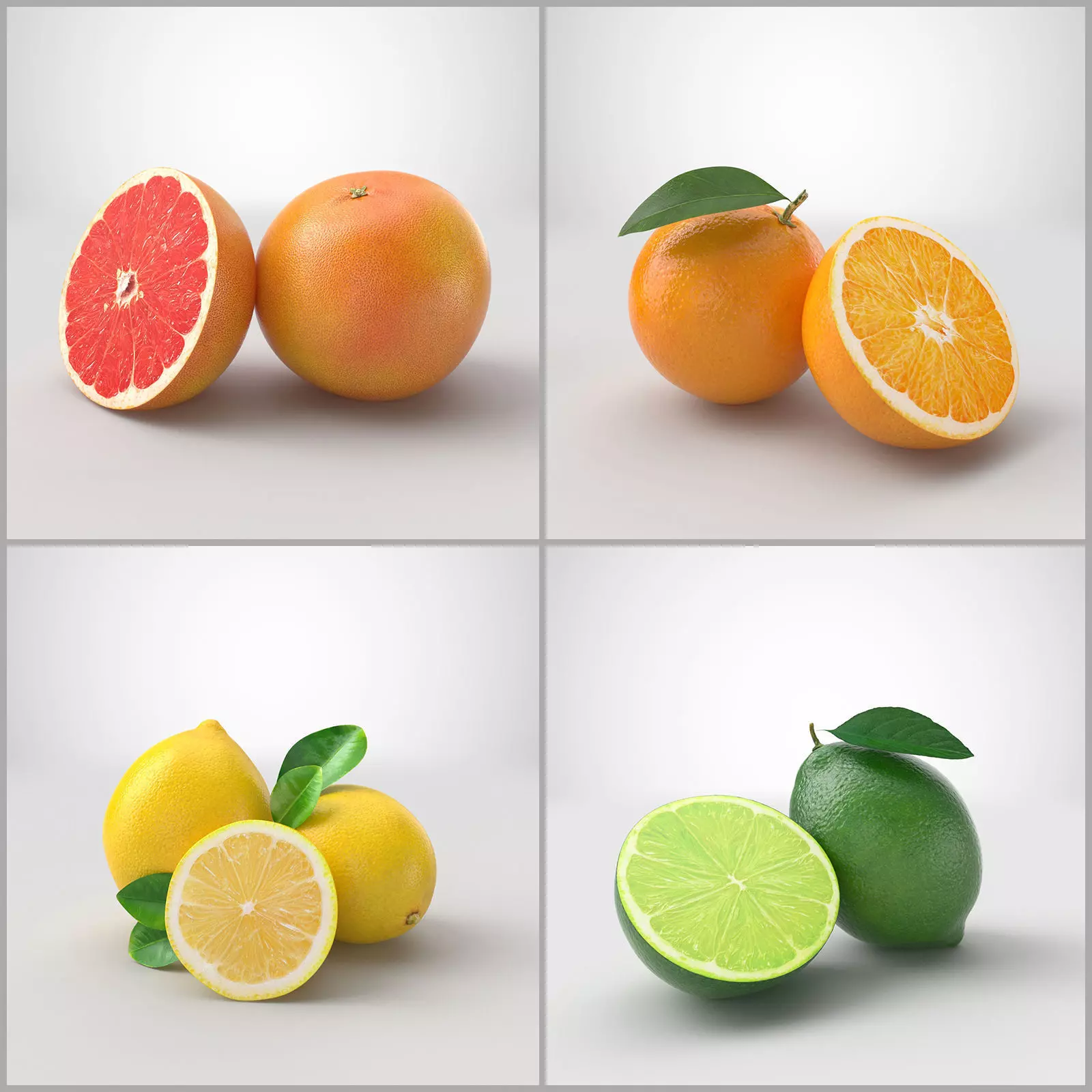 Citrus fruits  3D model_0