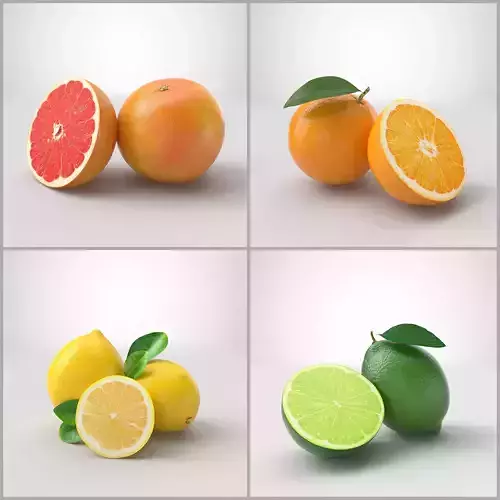 Citrus fruits  3D model