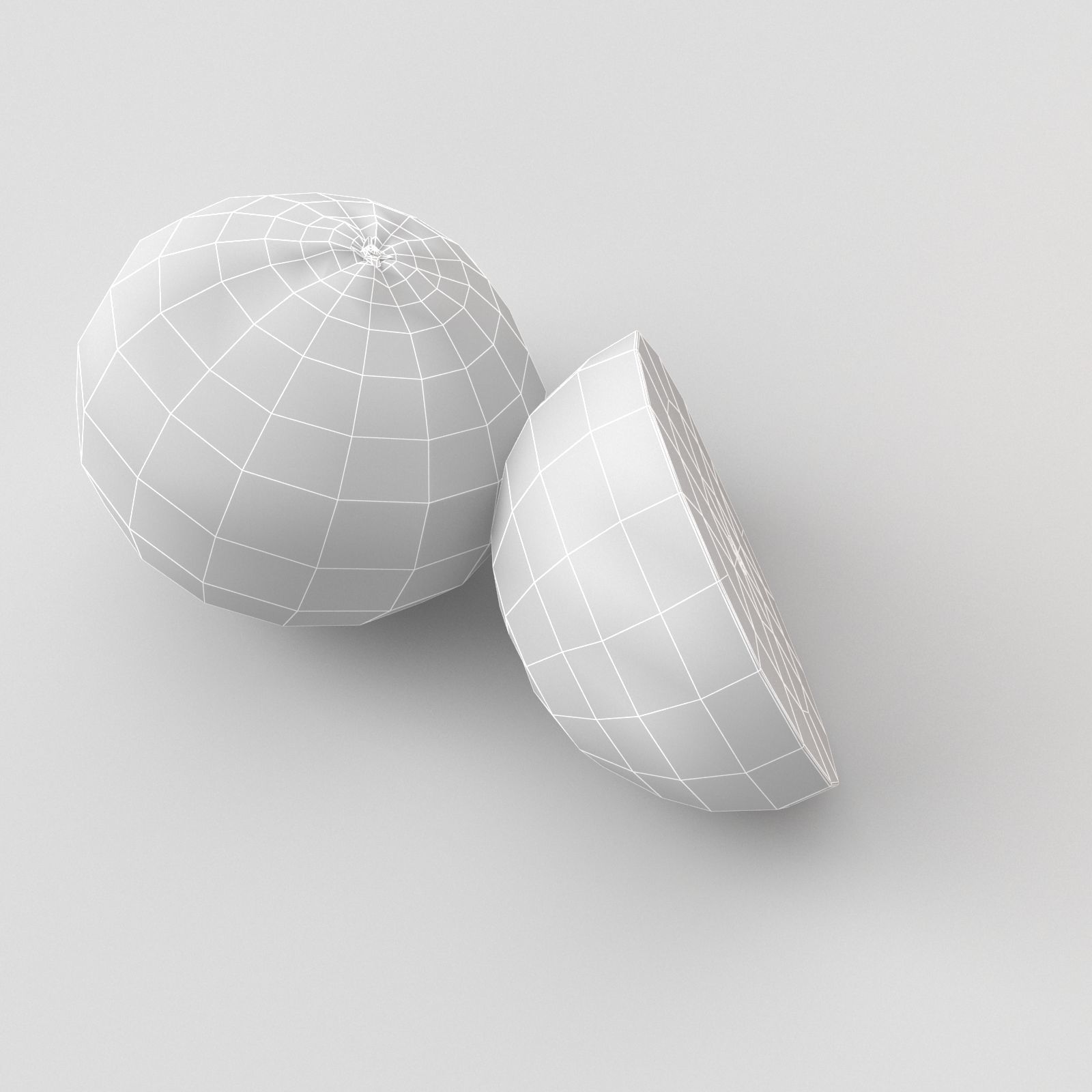 Citrus fruits  3D model_7