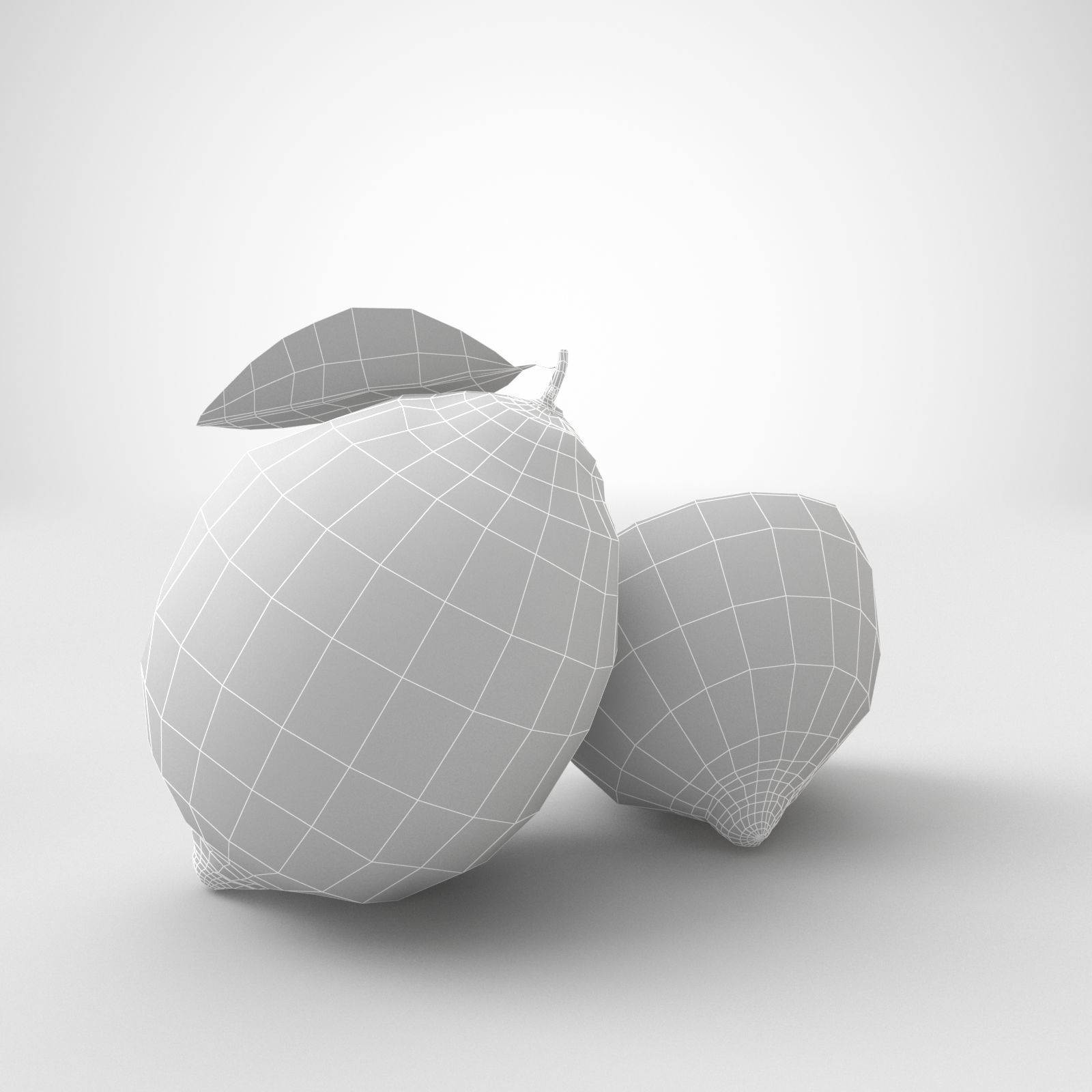 Citrus fruits  3D model_28