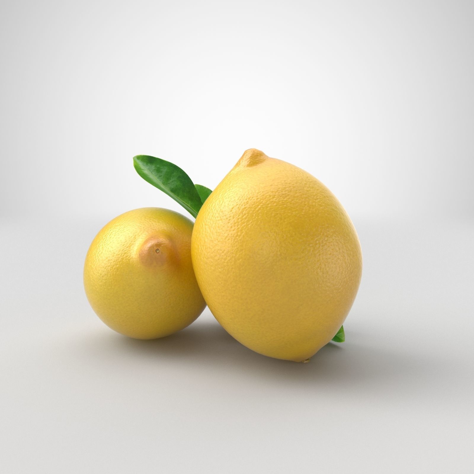 Citrus fruits  3D model_10