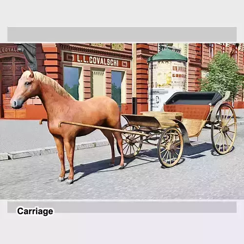 Carriage horse drawn