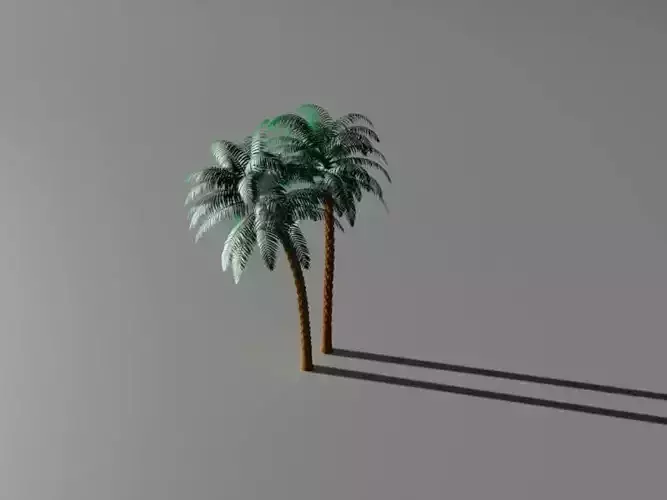 Palm Desert Tree