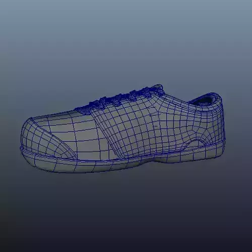 55 Different Shoe Models